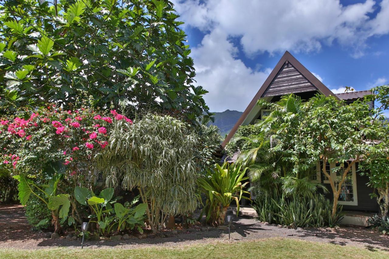 Fare Haurevaiti Moorea Paopao Exteriér fotografie