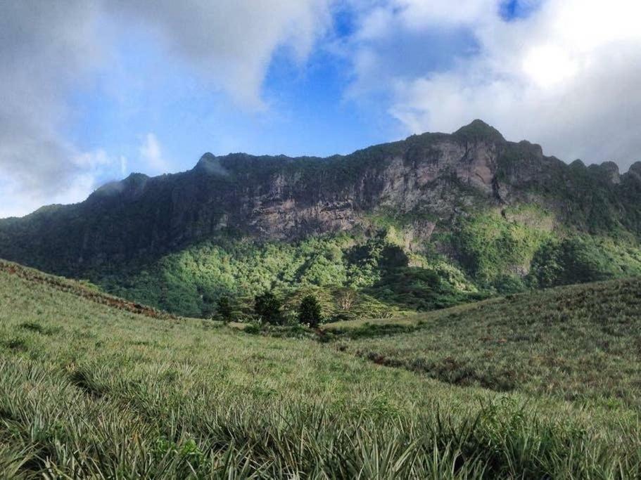 Fare Haurevaiti Moorea Paopao Exteriér fotografie