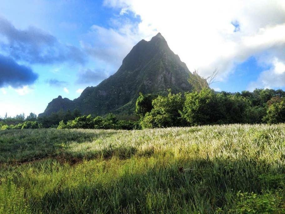 Fare Haurevaiti Moorea Paopao Exteriér fotografie