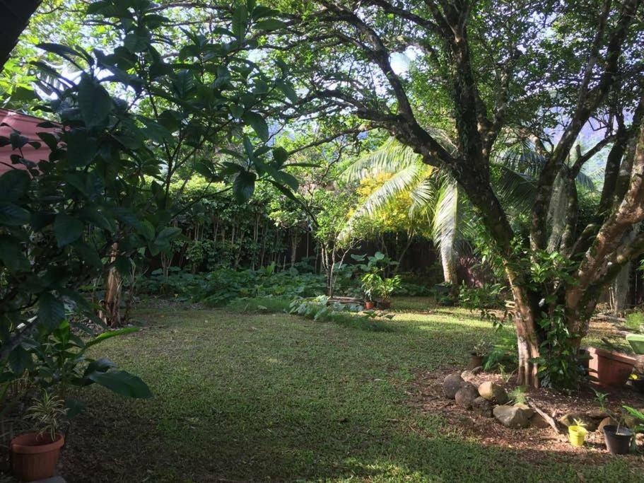 Fare Haurevaiti Moorea Paopao Exteriér fotografie