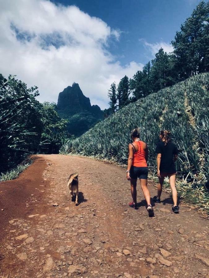 Fare Haurevaiti Moorea Paopao Exteriér fotografie